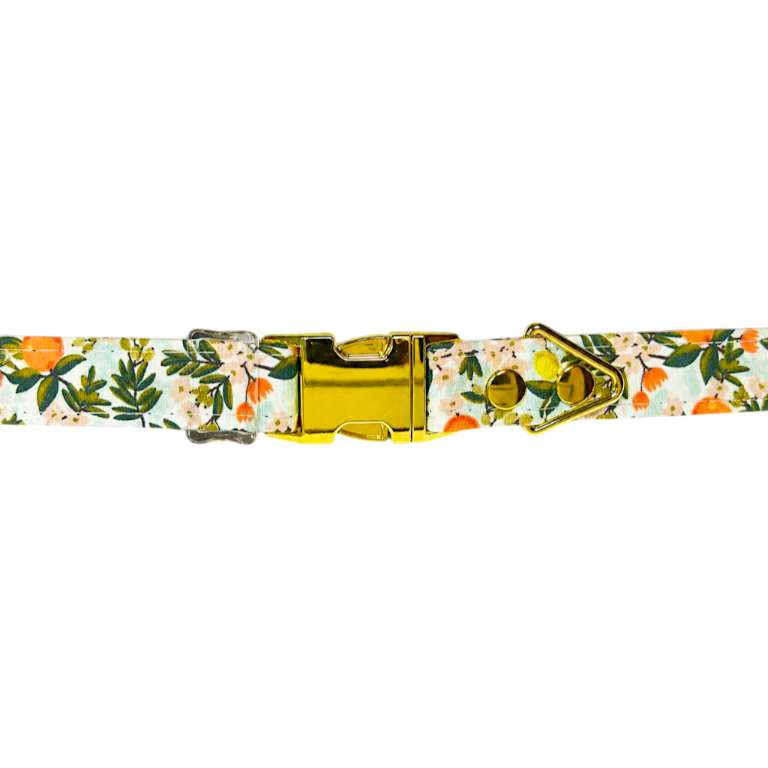 Citrus Grove