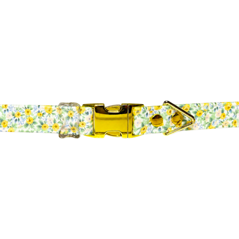 Daisy Lane