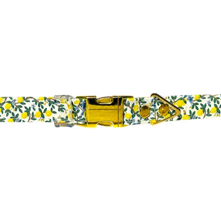 Lemon Grove