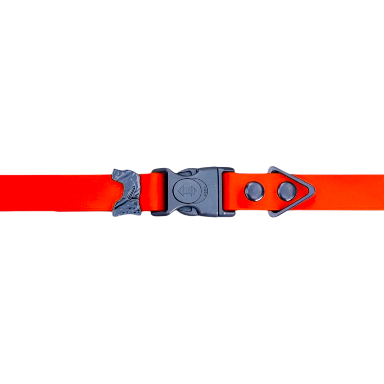 Hunter Orange