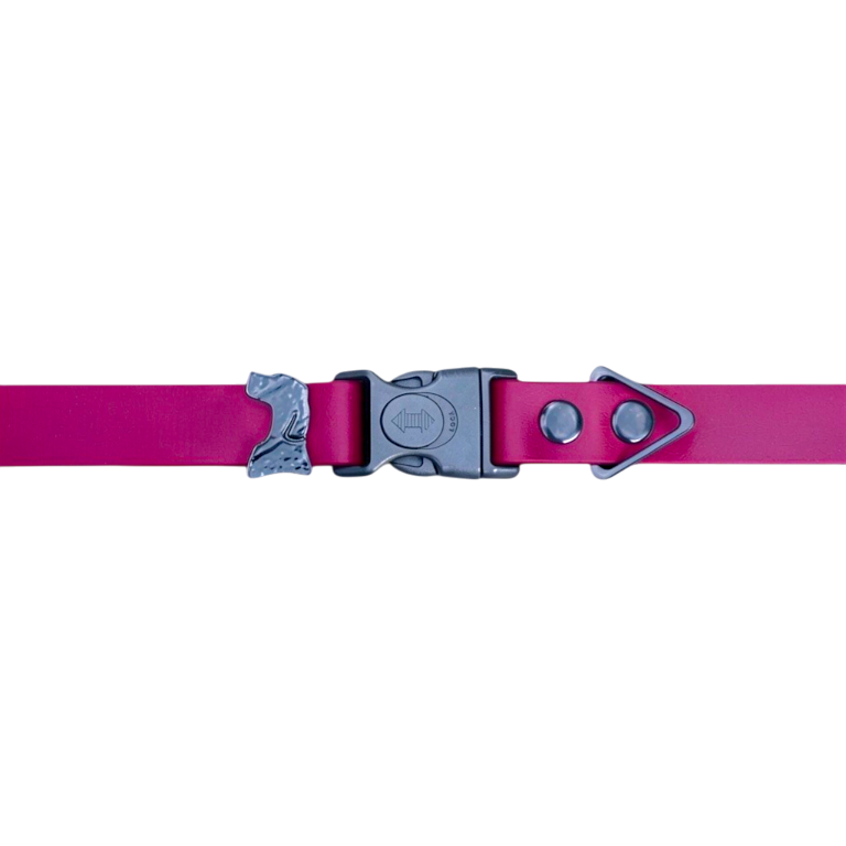 Magenta