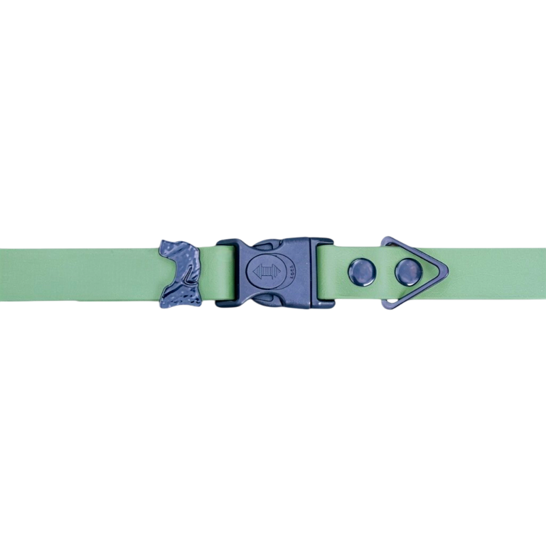 Sage Green